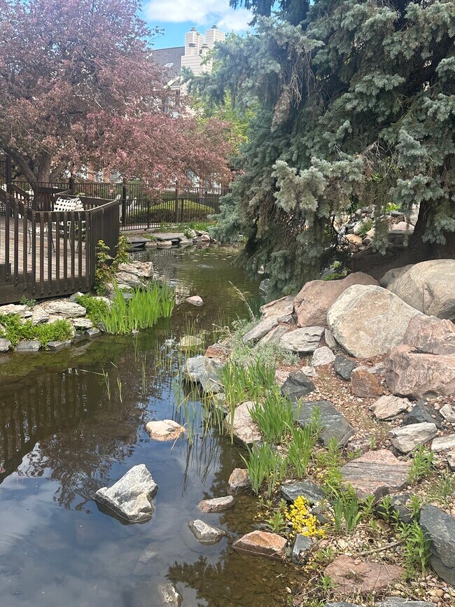 Estanque comunitario - 13781 E Lehigh Ave