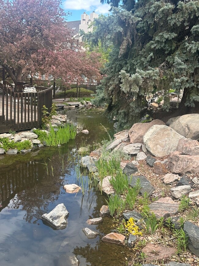 Community Pond - 13781 E Lehigh Ave