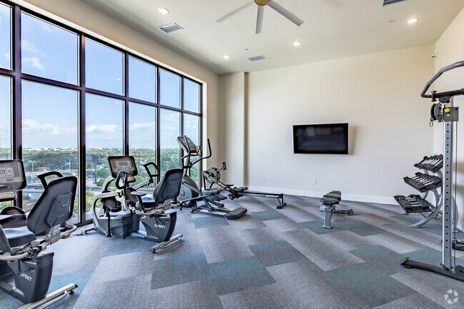 Gimnasio - The Ambar