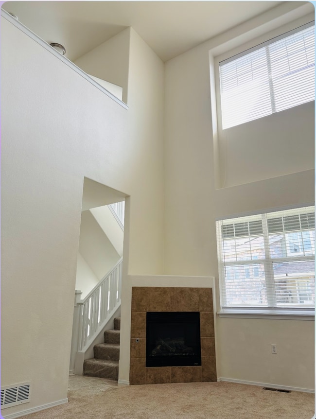 Living Room (Vaulted Ceiling) - 8490 Canyon Rim Trl