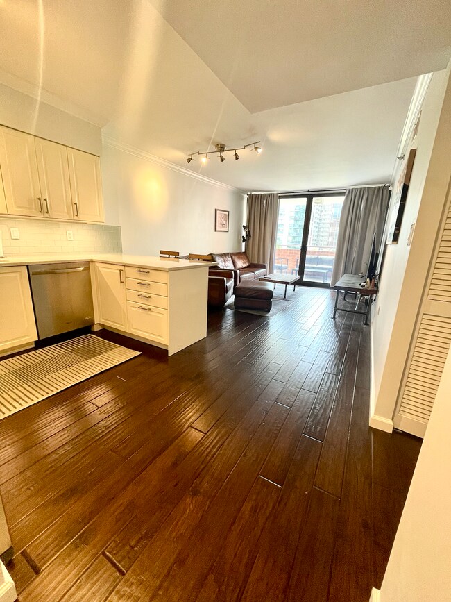 Kitchen & living room - 1001 N Randolph St