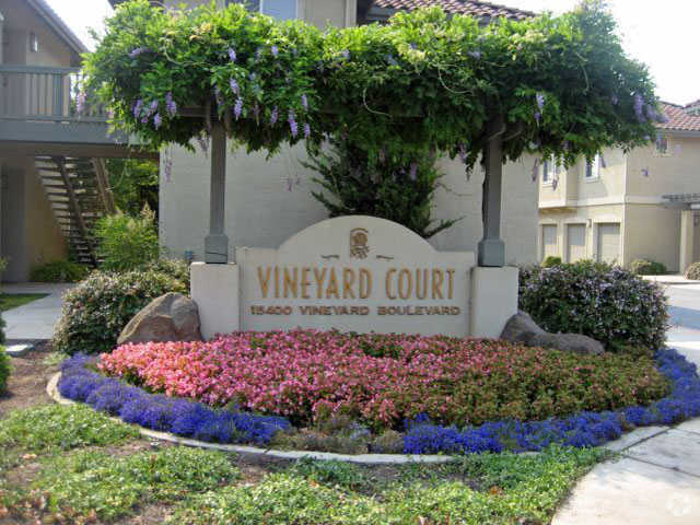 Complejo - Vineyard Court