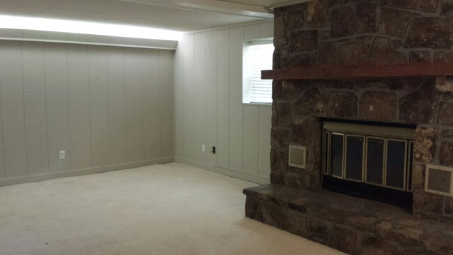 Lower level living area has wood-burning fireplace with stone surround. Access to mudroom/extra storage room that leads to the carport is accessed from this room. - 826 Murrell Rd