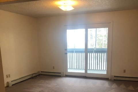 Living Room and Deck - 353 E 8th Ave