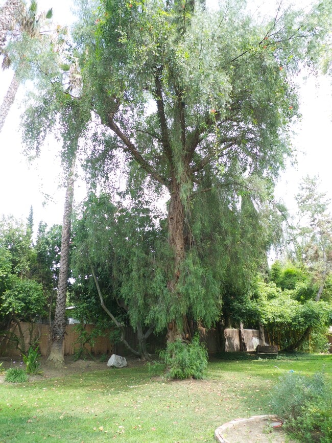 Building Photo - 2290 Canonita Dr