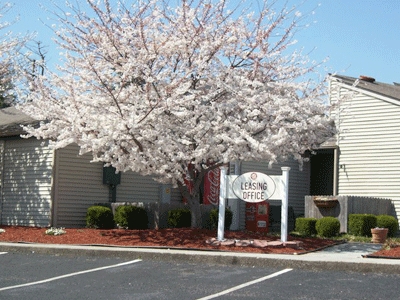 Leasing Office - Oak Tree Farms