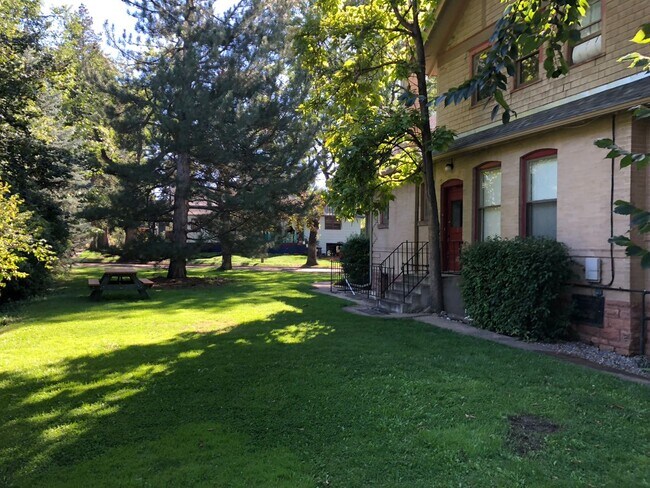 Nice lawn - 1270 3rd Ave