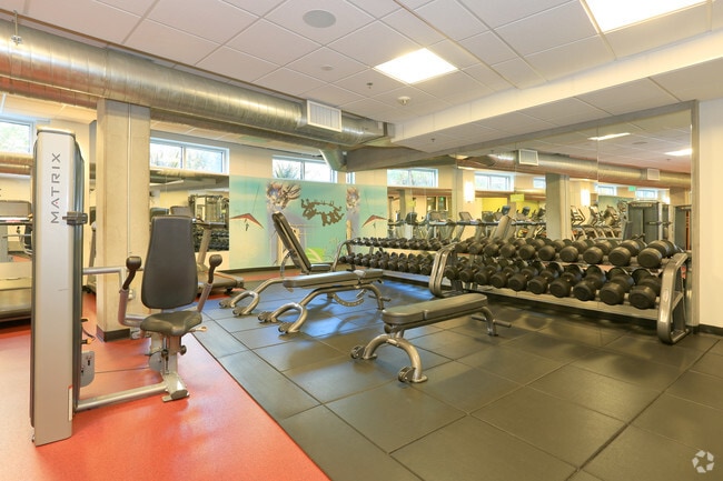 Foto del interior - Rincon Green