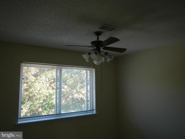 Foto del edificio - 10817 Amherst Ave