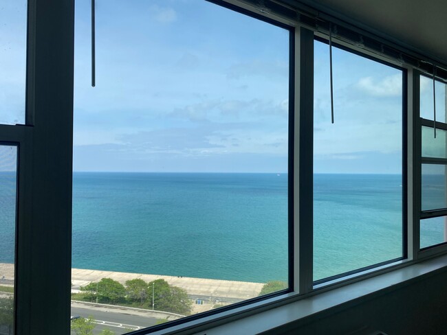 Living room window view - 1150 N Lake Shore Dr