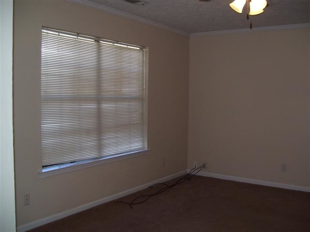 Building Photo - 4 Peach Blossom Ct