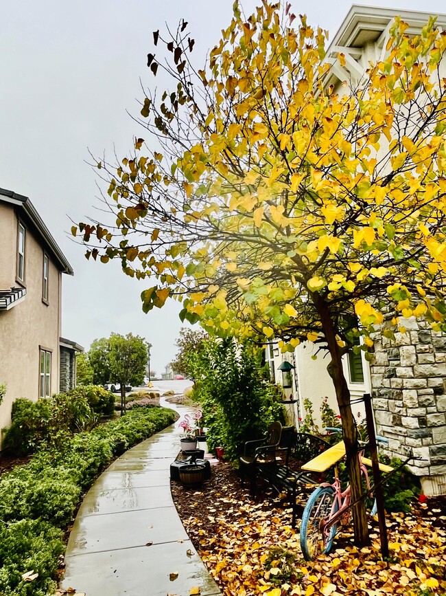 Foto del edificio - 2617 Alliston Loop