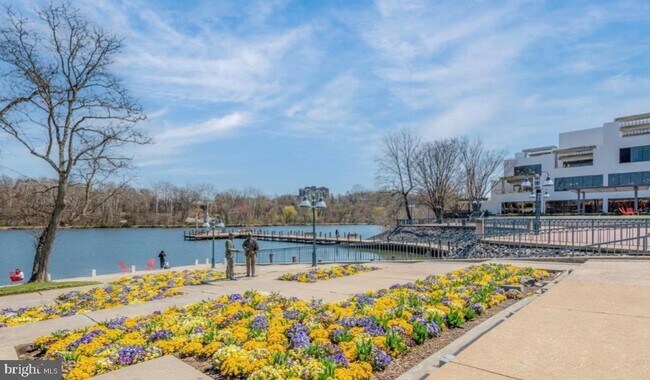 Foto del edificio - 10205 Wincopin Cir