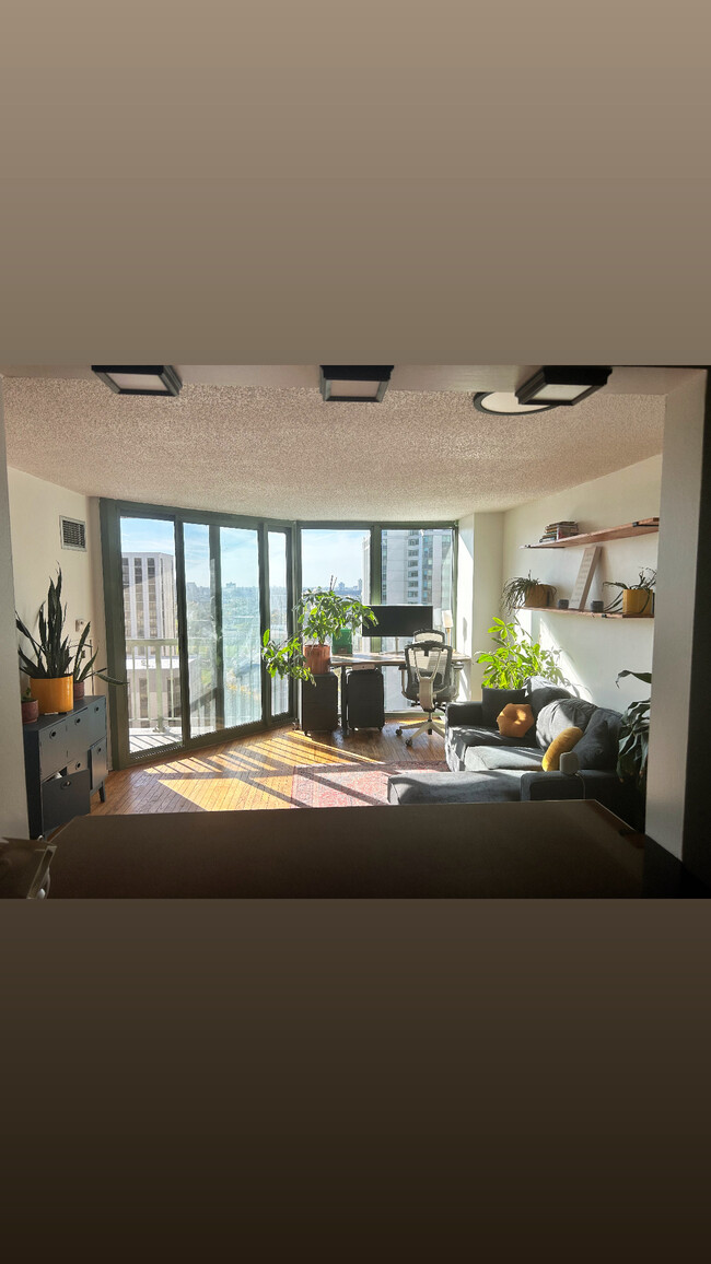 Floor to ceiling windows throughout apartment - 111 W Maple St