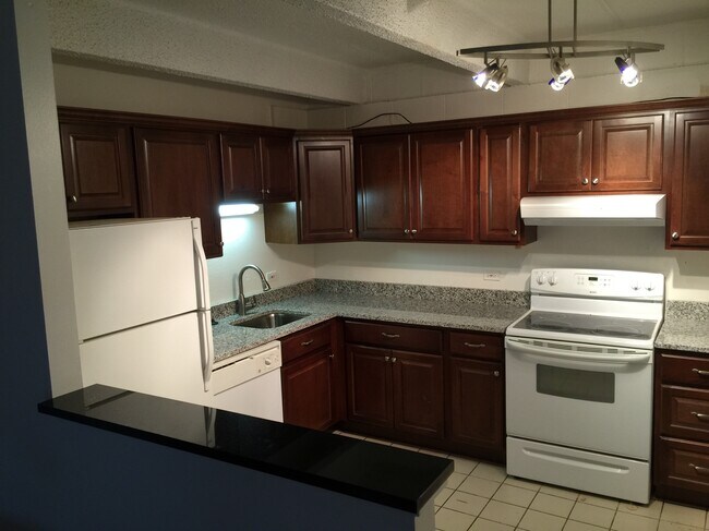 Kitchen with new cabinets and marble counters - 555 E 10th Ave #203