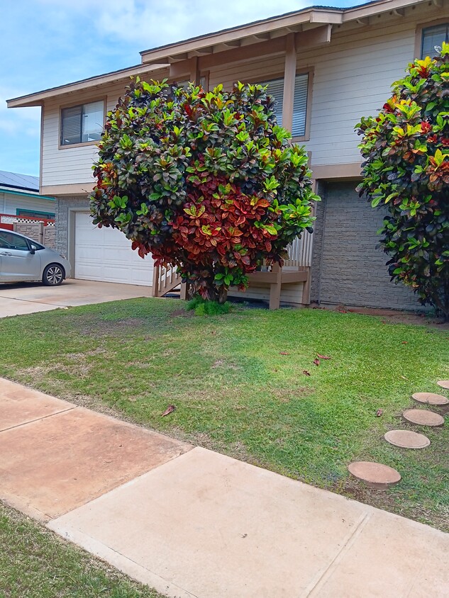 Primary Photo - 6 Alania Pl