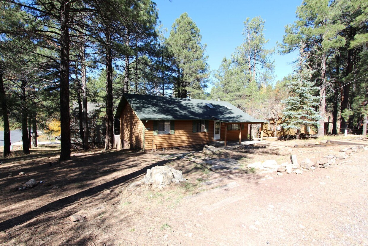 3 Bed, 2 Bath Cabin Home with Fenced Backy... - 3 Bed, 2 Bath Cabin Home with Fenced Backy...
