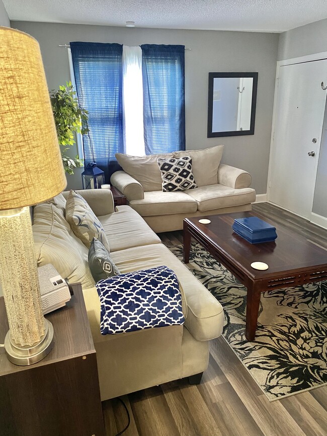 Living room - 4600 Fort Jackson Blvd