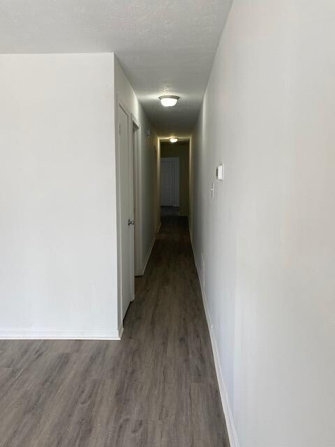 Foto del edificio - 451 Chestnut St