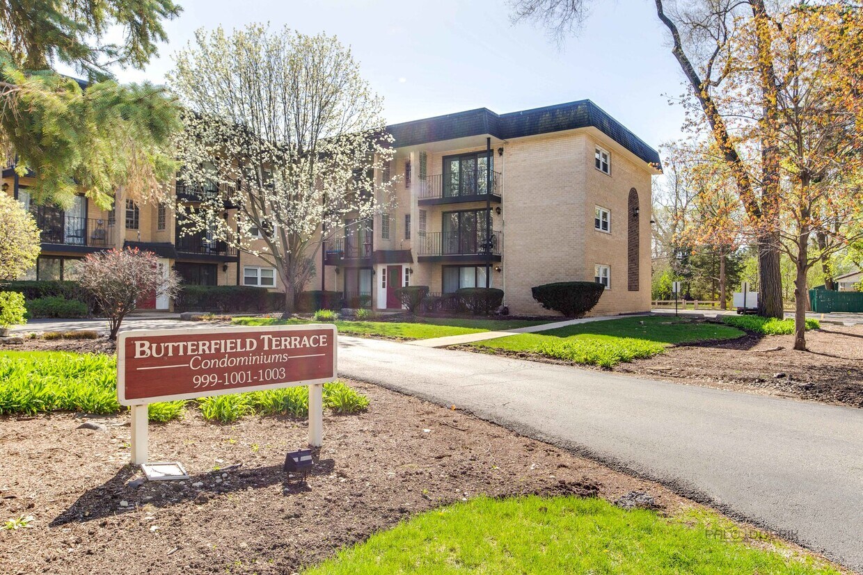 1003 Euclid Ave Unit 3W, Elmhurst, IL 60126 Condo for Rent in