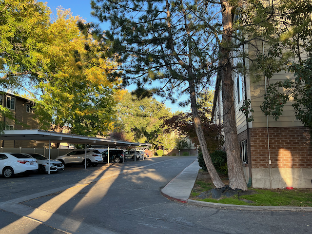 Shady tree filled areas - 833 E Arnecia Ct