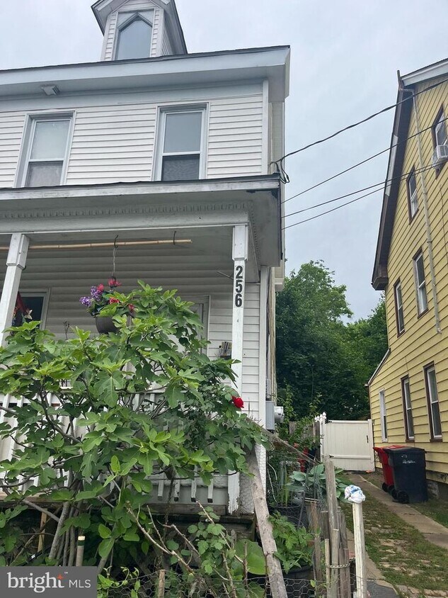 Primary Photo - 256 Walnut St