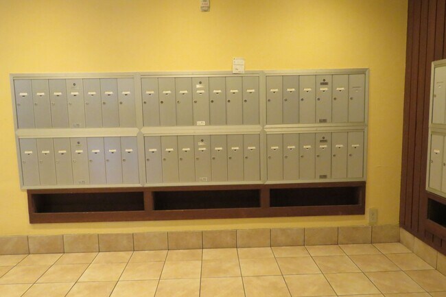 Foto del edificio - LARGE STUDIO IN SUNNY MISSION W/PARKING