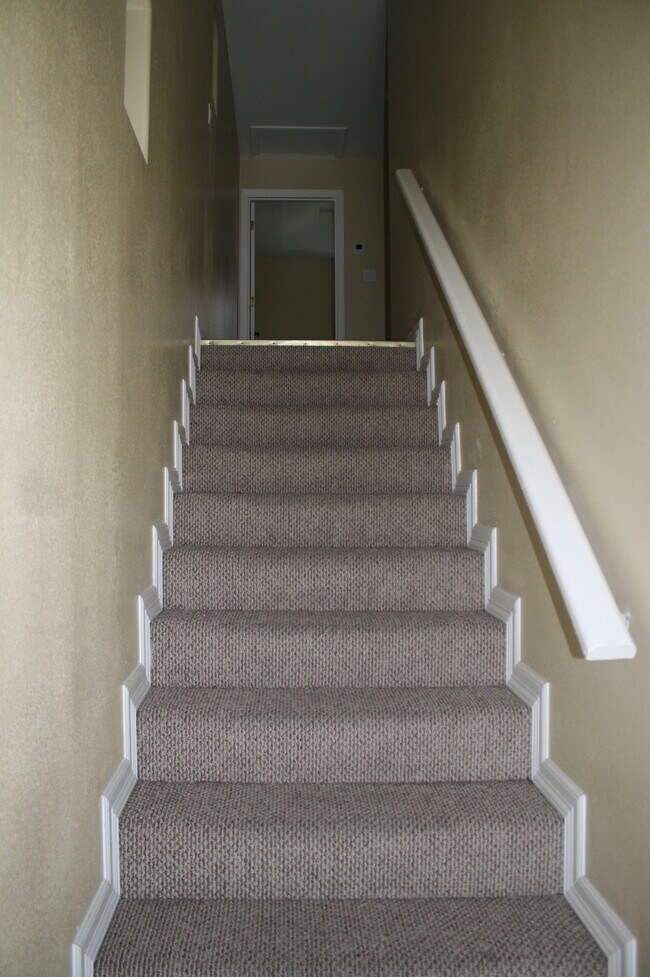 Escalera alfombrada con iluminación empotrada - 1204 West Kiwi