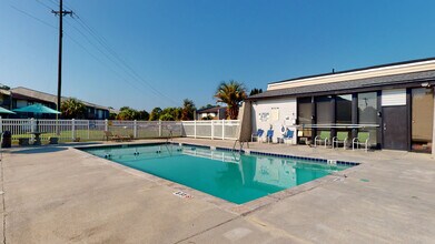 Spring Hill Apartments photo'