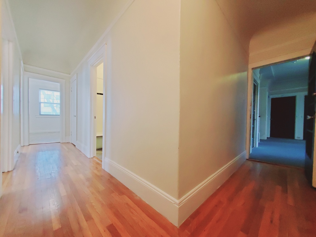 Primary Photo - 305 Franklin St