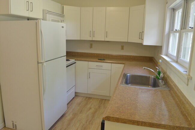Building Photo - 203 Pine Tree Rd