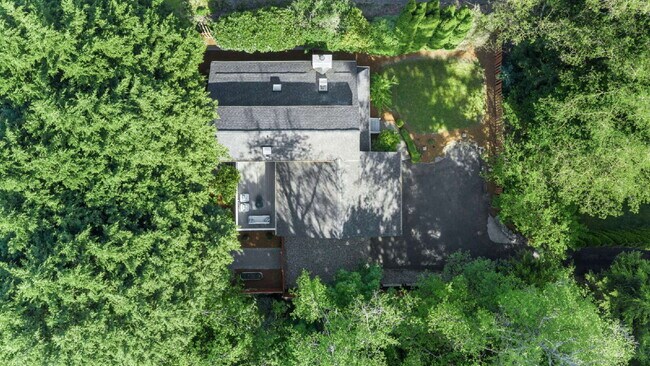 Foto del edificio - Private Kenmore Retreat | 4 Bed | 2 Bath | Beautifully Updated | Landscaping Included- Available ...