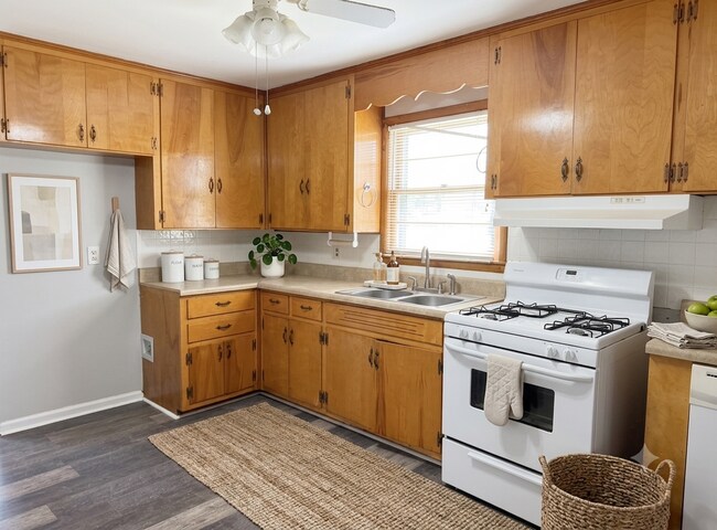 Building Photo - 1036 Zephyr Hills Dr