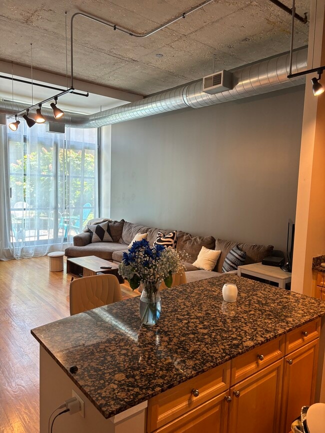 Living room - 900 N Kingsbury St