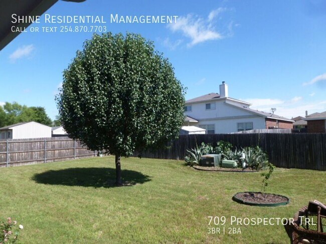 Foto del edificio - 709 Prospector Trail