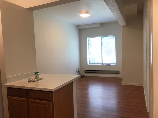 Livingroom & Kitchen counter - 417 Cabrillo St