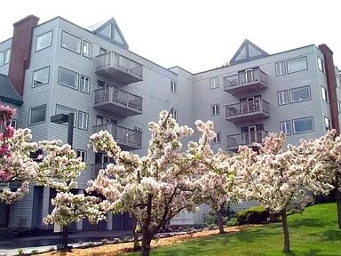 Street View - 149 Fort Rd