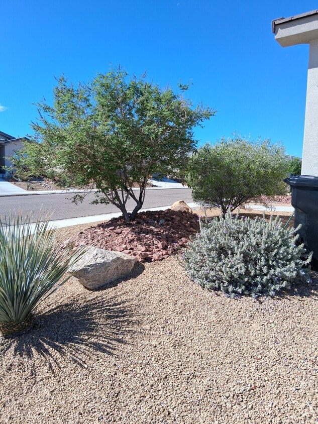 Building Photo - 571 E Colt Ln