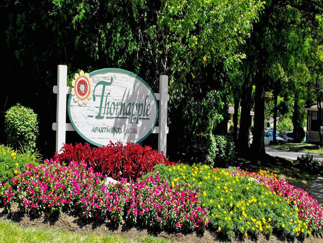 Primary Photo - Thornapple Apartments