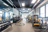 Located at 57 E Centre St in Nutley, NJ, this fitness facility is a comprehensively outfitted gym designed to support a full range of workout needs. The space is laid out across a single floor in a long, open floor plan that allows for clear zoning of different exercise areas, promoting efficient use of the space and easy navigation for members.

The facility features a robust selection of cardio equipment, including a row of stair climbers and treadmills from True Fitness, positioned along one side of the gym beneath a dark, exposed ceiling with recessed panel lighting. The industrial-style ceiling adds a modern, urban aesthetic to the space, complemented by light gray walls and durable rubberized flooring throughout.

The strength and resistance training area is well-appointed with a variety of selectorized machines, cable systems, and multi-functional units. A dedicated free weights section includes a full dumbbell rack and adjustable benches, accompanied by wall-to-wall mirrors that enhance the sense of space and assist with form monitoring.

A functional fitness zone near the front entrance features colorful medicine balls, stability equipment, and cable-based training stations. Large windows and a glass entry door flood this area with natural light and offer views of the outdoor surroundings, creating an inviting and energizing atmosphere. Overall, the facility presents a clean, organized, and professional environment suitable for a wide variety of fitness routines.