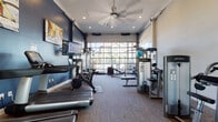 Located at 1200 E Parmer Ln in Austin, Texas, this single-floor fitness center is a well-appointed facility designed to support a comprehensive workout experience. The space features a bold design aesthetic, with deep navy blue accent walls contrasted against crisp white trim and ceilings, creating an energizing yet polished atmosphere.

The facility is generously equipped with a wide array of cardio machines, including multiple Life Fitness and Precor treadmills, elliptical trainers, and a spin bike. A large wall-mounted flat-screen TV provides entertainment and connectivity for users during their workouts. Strength training is well represented with a Life Fitness cable machine, weight bench, stability balls, and additional selectorized equipment positioned throughout the room.

A standout architectural feature is the oversized glass garage-style door that floods the main workout area with natural light and offers views of the surrounding community. Recessed lighting and a ceiling fan maintain a comfortable environment throughout. A secondary area with tall ceilings and glass-paneled entry doors provides additional workout space with ample natural light from surrounding windows.

The flooring throughout consists of durable, low-pile carpet suited for fitness use, and full-length mirrors enhance the sense of space while supporting proper form during exercise. Overall, this fitness center offers a bright, functional, and well-equipped environment for residents.