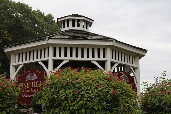 On site Gazebo - 244 Mt Vernon St