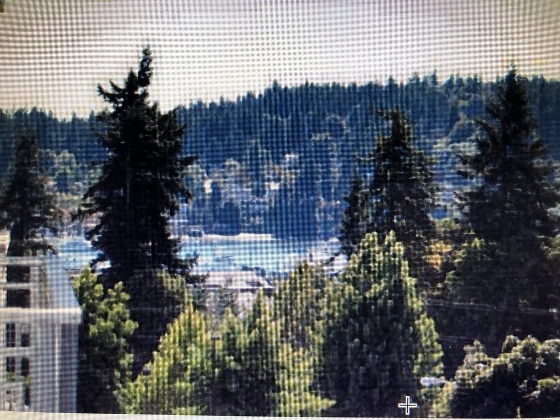 View of Eagle Harbor from deck! - 170 Harbor Square Loop NE