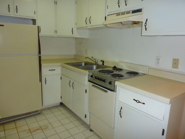 Foto del edificio - 1BR Near UTK – Prime Location in Fort Sanders & Close to Downtown Knoxville!