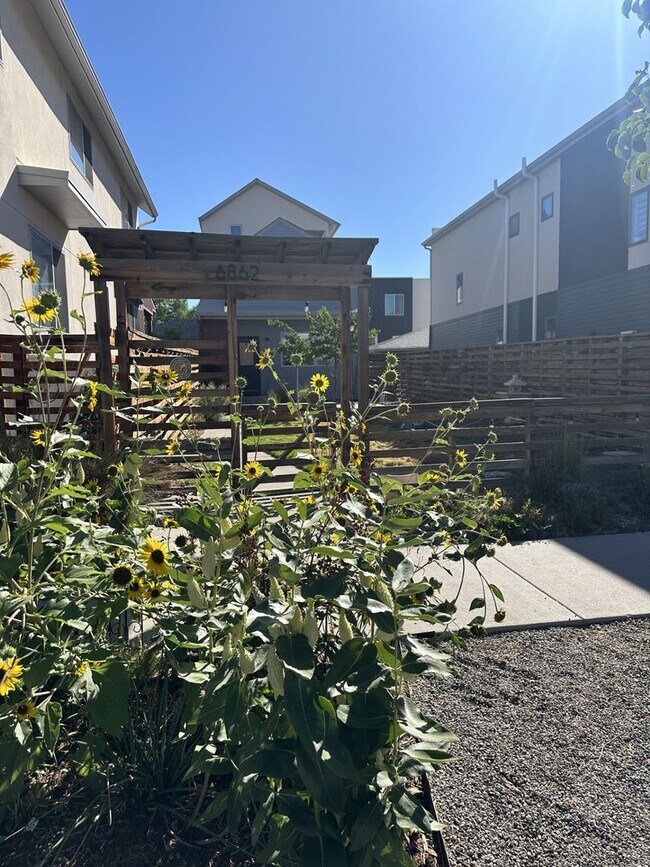 Building Photo - COMING SOON - Single family home in sought...