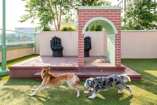 Carrera de perros - Newark Urby