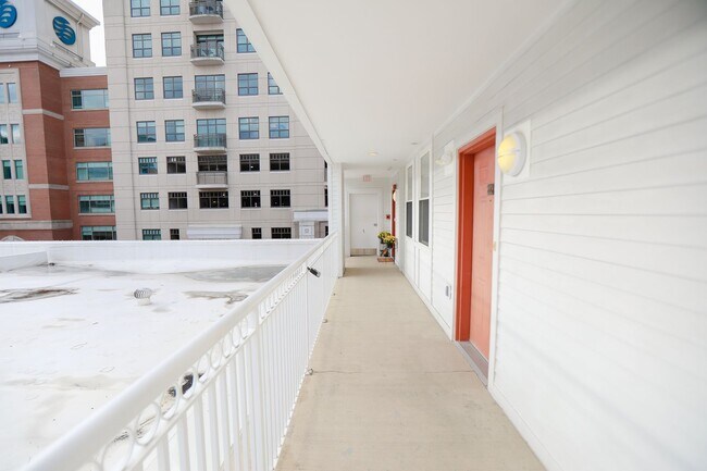 Foto del edificio - Downtown Norfolk Condo