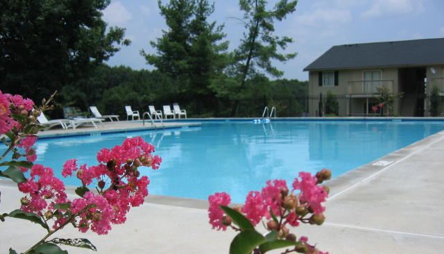 Foto del edificio - 4336 Pleasant Point Dr