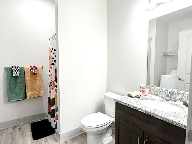 Model Unit Bathroom - Mona Shores Flats