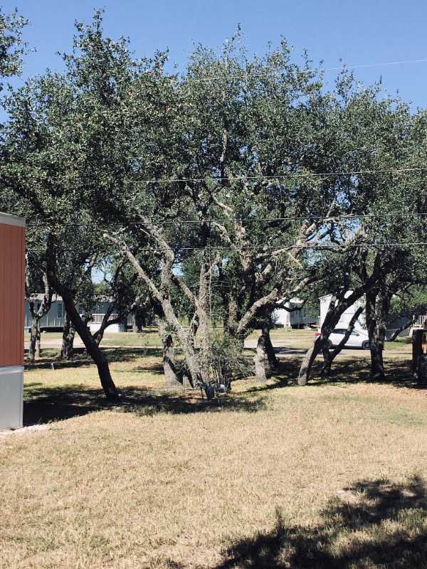 1103 6th St Unit 6, San Leon, TX 77539 Room for Rent in San Leon, TX